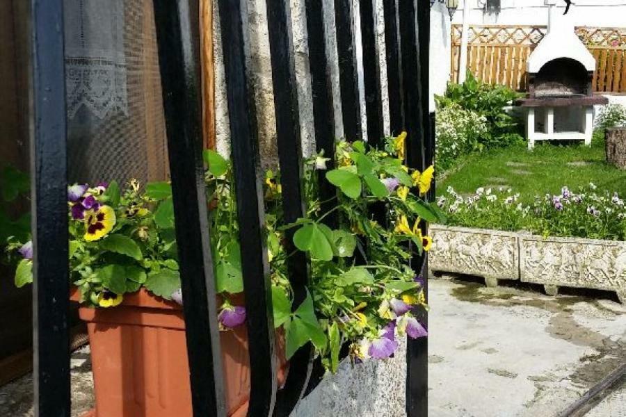 Casa Rural Zubiarena Satrustegui Zewnętrze zdjęcie